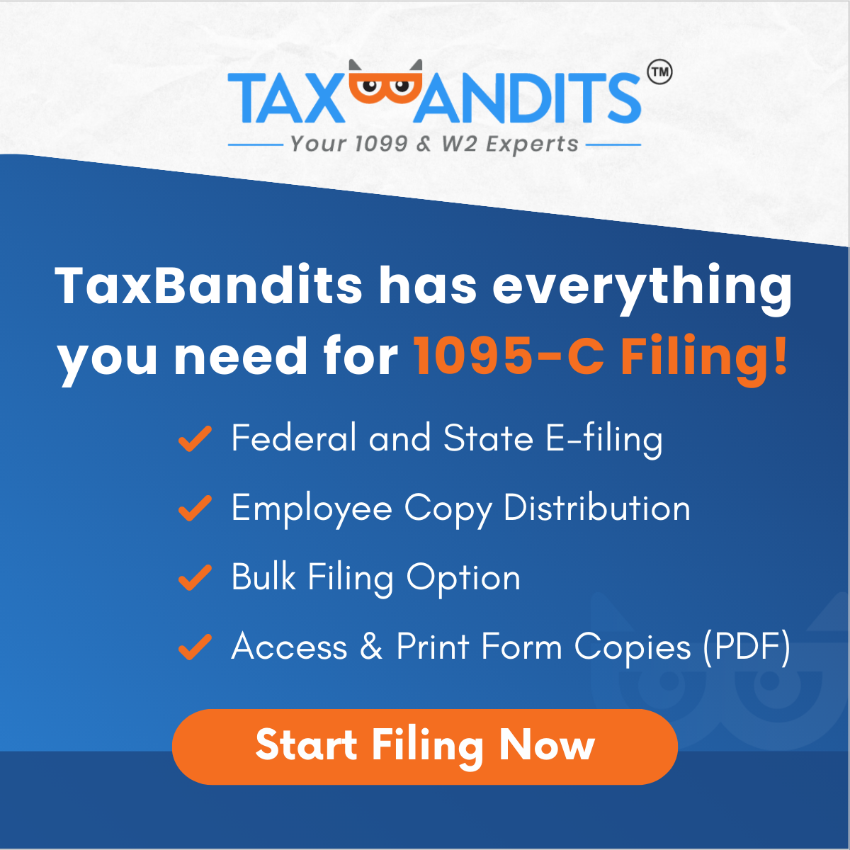 TaxBandits Form 1095-C Filing